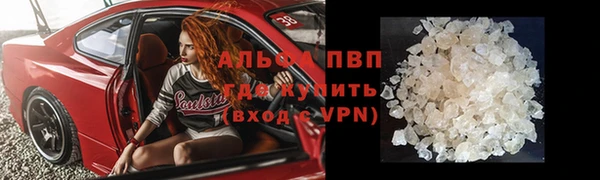 стаф Алзамай