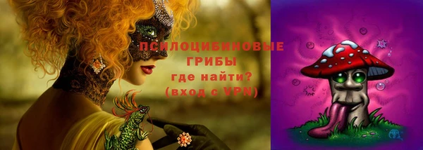 бошки Алексин