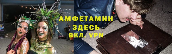 стаф Алзамай