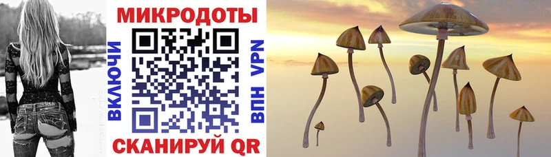 shop какой сайт Вихоревка OMG как зайти Псилоцибиновые грибы Magic Shrooms закладка